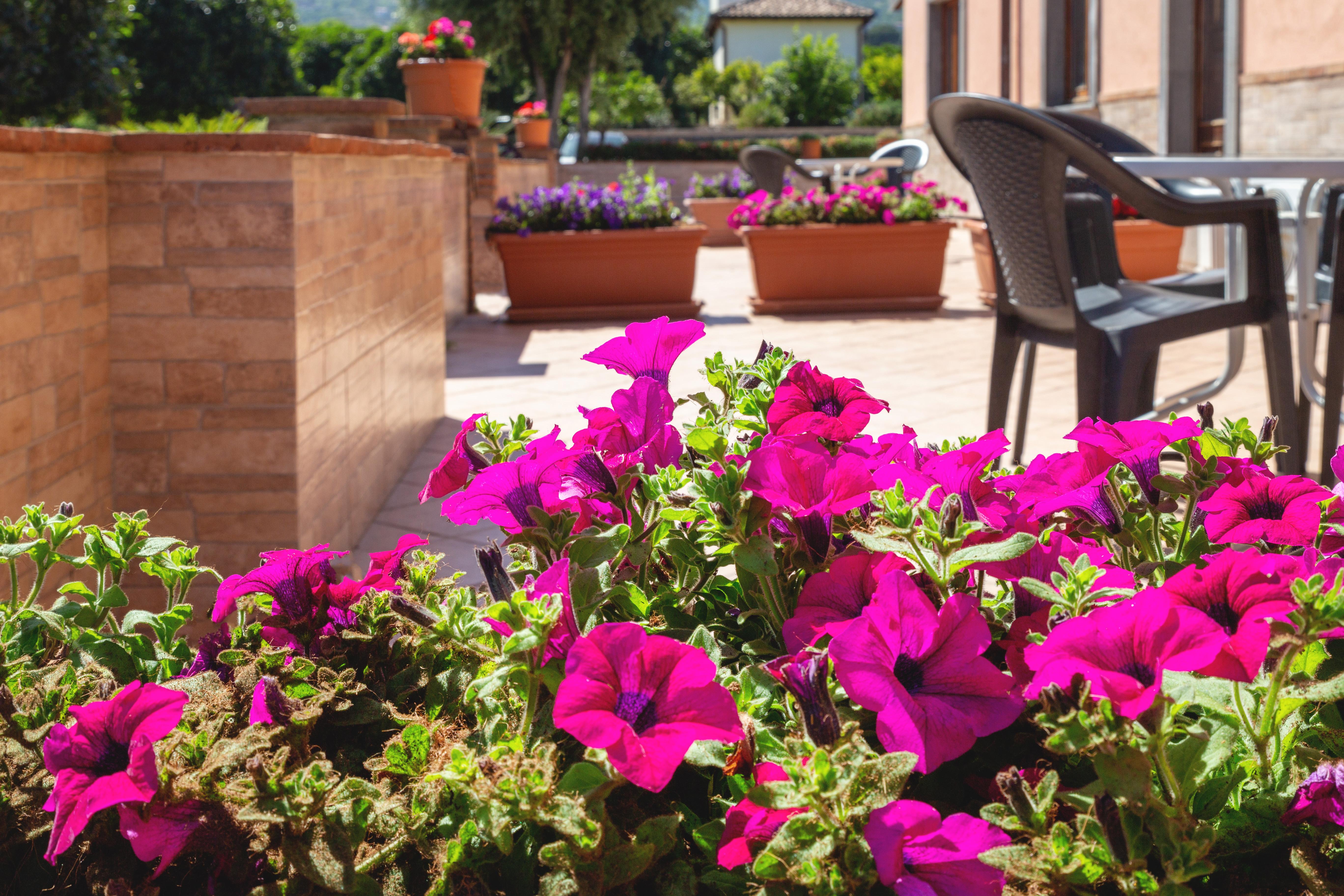 La Terra Dei Sogni Country Hotel Fiumefreddo di Sicilia Luaran gambar