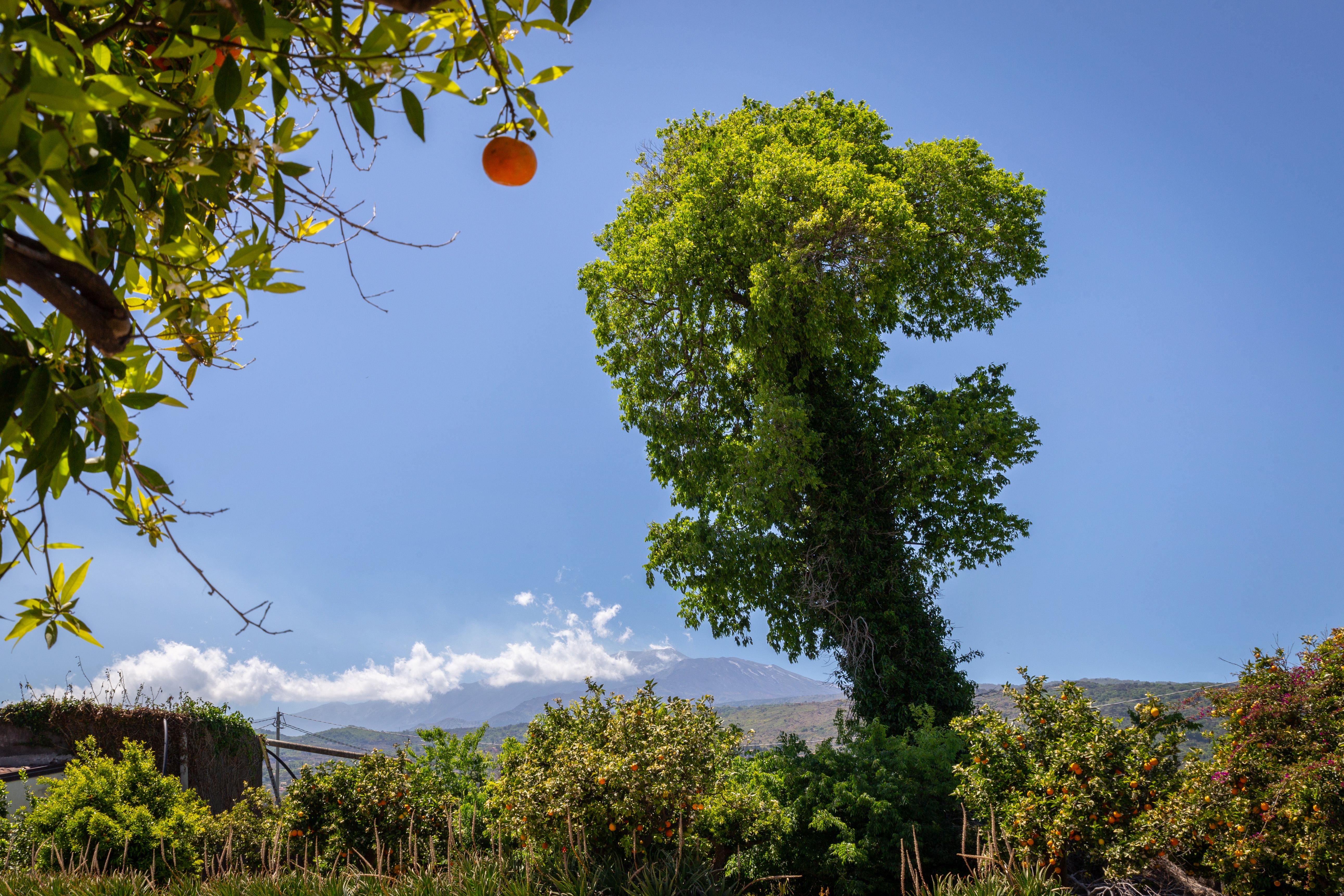 La Terra Dei Sogni Country Hotel Fiumefreddo di Sicilia Luaran gambar